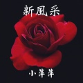 吴泓君 - 梦再望