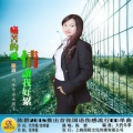 陈映岚 - 痛苦的爱情让我好累