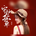 守护孤单