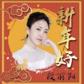 段丽阳 - 新年好