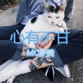 梦樊 - 心有不甘