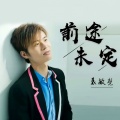 袁敏慧 - 每一天每一年我爱你 (纯音乐)