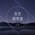 沈波 - 琵琶曲