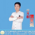 李正东 - 相思泪满天飞