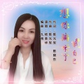 杨美华 - 想你骗不了我自己