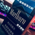 浪子楚阳 - 浪子,该回家了