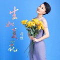 胡蝶 - 生如夏花
