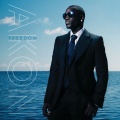David Guetta、Akon - Sexy Bxxxh (Explicit)