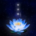 紫萁 - 百字明