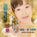 香飞蝶舞 - 为何相爱没结果 (DJ版)
