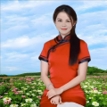 飘零啊莲 - 2025愿你好运来