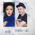 暴林、乔玲儿 - 如果今生不能在一起