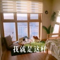 七舅脑爷 - 我就是这样 (Remix)