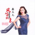 赵玉东 - 风从西北来