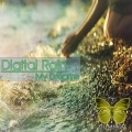 Digital Rain - Radiance