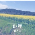 DJ豪大大 - 小小的太阳