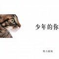 势力匪刚 - 老许你要老婆不要