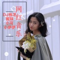 圈妹、小伊伊、小可、DJ杨洋 - 车载3D酒吧摇