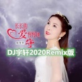 长长的爱慢慢地守 (DJ宇轩2020Remix蓝调版)