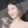 蒋婴 - 爱太苦