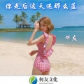 何友 - 最恨你这么久都不来看我一次 (DJ版)