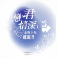 邓丽君 - 踏雪寻梅