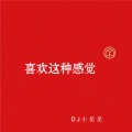 DJ小星星 - 夜猫