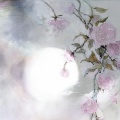 曾经艺也 - 荀彧