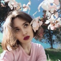 那就这样吧