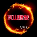 DJ阎王 - 凤舞九天