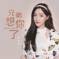 王小小 - 兄弟想你了