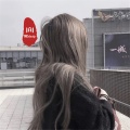 莹酱、小奶瓶、苏6、虞姬 - 爱情不需要面子