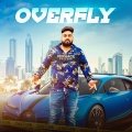 Overfly (feat. Aeden)