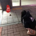 MC赵小磊、MC李可、小奶瓶、虞姬 - 老铁上嗨曲 (DJ版)