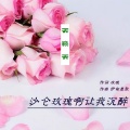 天籁天 - 沙仑玫瑰啊让我沉醉