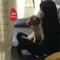 凯大大、王丙丁、小凯哥哥 - 战歌响起