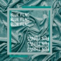 Blue Flag / Fun Things