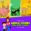 Animal Sounds (Pig, Goat, Camel)