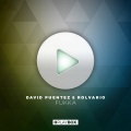 David Puentez、Rolvario - Fukka