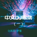 DJ其哥、梦瑾 - 夜空中最亮的星 (DJ新版)
