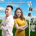 马丹、张强 - 请你来草原