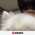 忘川的河DJ