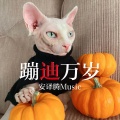 安译腾 - 杀马特家族战歌