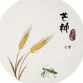行樂 - 芒种