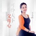 王小爱 - 可怜天下父母心
