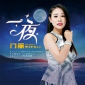 门丽 - 一夜