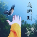 大自然 - 鸟鸣叫