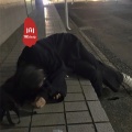 神乐、圈妹、抖音热歌、DJ蚕豆好吃 - 谢谢侬