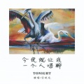 李玖龙 - 今夜就让我一个人喝醉