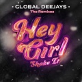 Hey Girl (Shake It)(Niels van Gogh Remix)